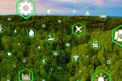 Green Transformation
